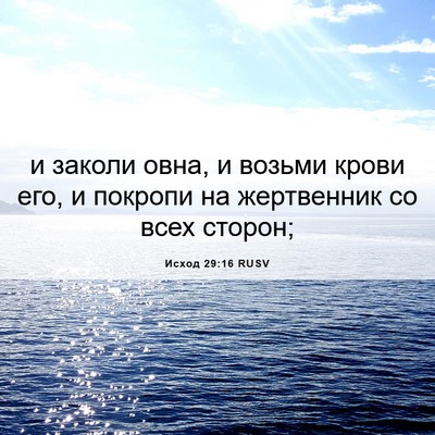 Picture 06 - Исход 29:16 RUSV - и заколи овна, и возьми - Bible Verse Picture