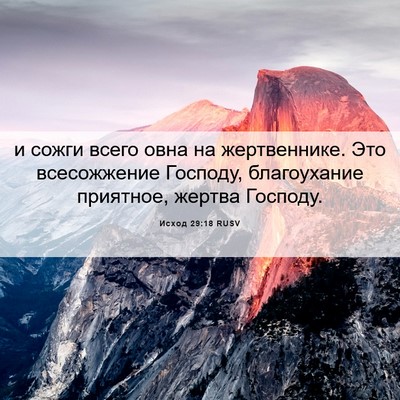 Picture 06 - Исход 29:18 RUSV - и сожги всего овна на - Bible Verse Picture