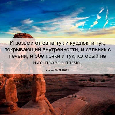 Picture 06 - Исход 29:22 RUSV - И возьми от овна тук и - Bible Verse Picture