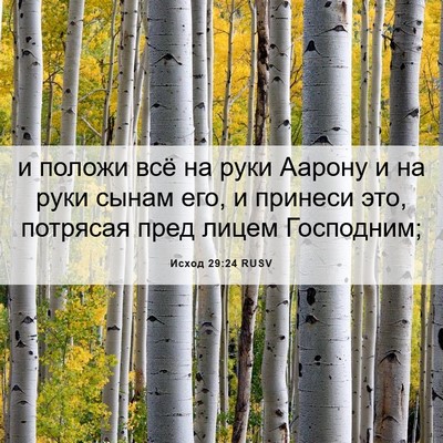 Picture 06 - Исход 29:24 RUSV - и положи всё на руки Аарону - Bible Verse Picture