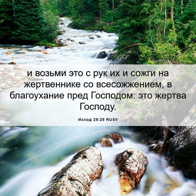 Picture 06 - Исход 29:25 RUSV - и возьми это с рук их и - Bible Verse Picture