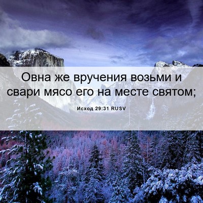 Picture 06 - Исход 29:31 RUSV - Овна же вручения возьми и - Bible Verse Picture