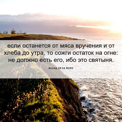 Picture 06 - Исход 29:34 RUSV - если останется от мяса - Bible Verse Picture