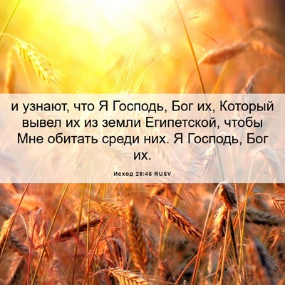 Picture 06 - Исход 29:46 RUSV - и узнают, что Я Господь, Бог - Bible Verse Picture