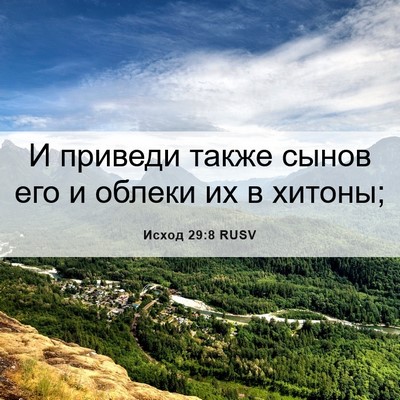 Picture 06 - Исход 29:8 RUSV - И приведи также сынов его и - Bible Verse Picture