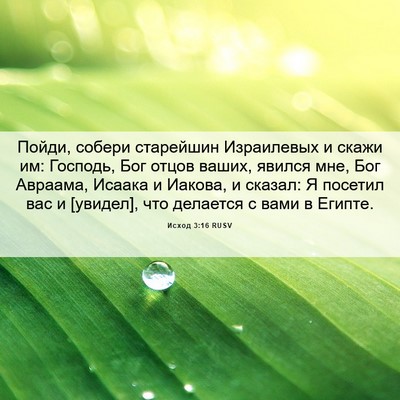 Picture 06 - Исход 3:16 RUSV - Пойди, собери старейшин - Bible Verse Picture