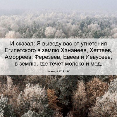 Picture 06 - Исход 3:17 RUSV - И сказал: Я выведу вас от - Bible Verse Picture