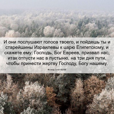 Picture 06 - Исход 3:18 RUSV - И они послушают голоса - Bible Verse Picture