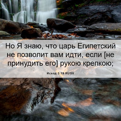 Picture 06 - Исход 3:19 RUSV - Но Я знаю, что царь - Bible Verse Picture
