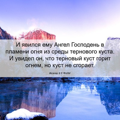 Picture 06 - Исход 3:2 RUSV - И явился ему Ангел - Bible Verse Picture