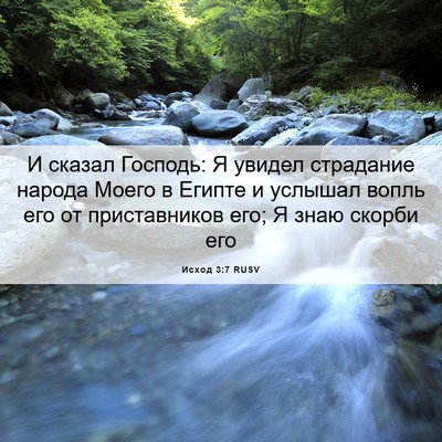 Picture 06 - Исход 3:7 RUSV - И сказал Господь: Я увидел - Bible Verse Picture