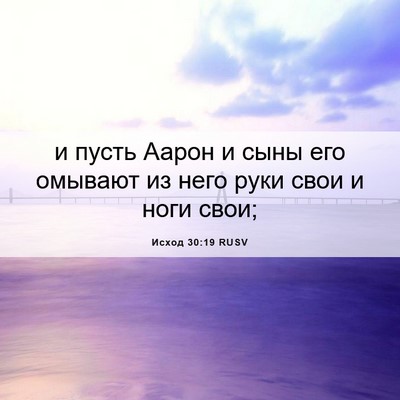 Picture 06 - Исход 30:19 RUSV - и пусть Аарон и сыны его - Bible Verse Picture