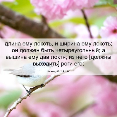 Picture 06 - Исход 30:2 RUSV - длина ему локоть, и ширина - Bible Verse Picture