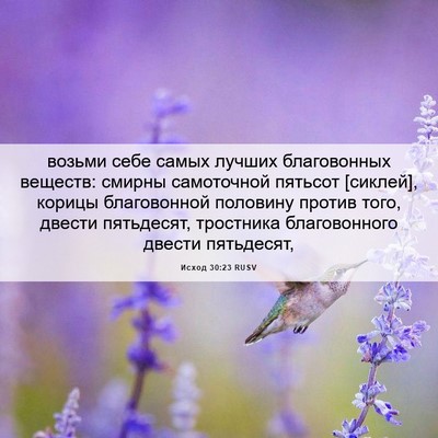Picture 06 - Исход 30:23 RUSV - возьми себе самых лучших - Bible Verse Picture