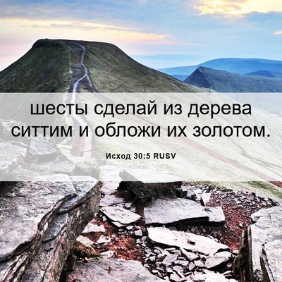 Picture 06 - Исход 30:5 RUSV - шесты сделай из дерева - Bible Verse Picture