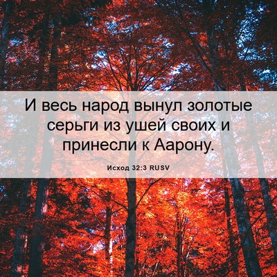 Picture 06 - Исход 32:3 RUSV - И весь народ вынул золотые - Bible Verse Picture