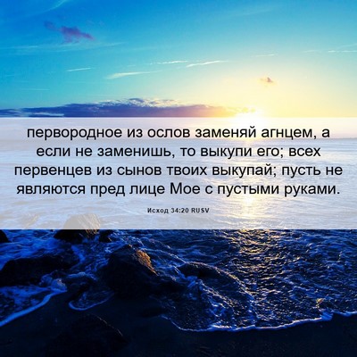 Picture 06 - Исход 34:20 RUSV - первородное из ослов - Bible Verse Picture