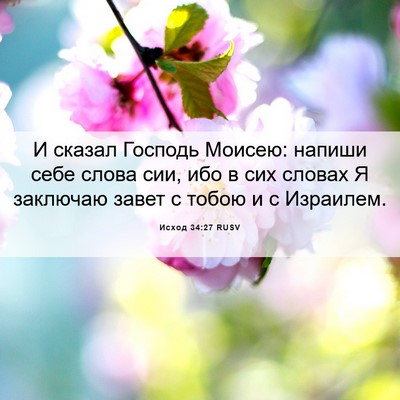 Picture 06 - Исход 34:27 RUSV - И сказал Господь Моисею: - Bible Verse Picture