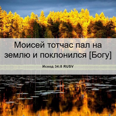 Picture 06 - Исход 34:8 RUSV - Моисей тотчас пал на землю - Bible Verse Picture