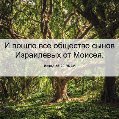 Picture 06 - Исход 35:20 RUSV - И пошло все общество сынов - Bible Verse Picture