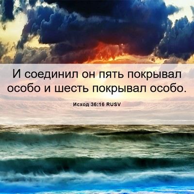 Picture 06 - Исход 36:16 RUSV - И соединил он пять - Bible Verse Picture