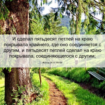 Picture 06 - Исход 36:17 RUSV - И сделал пятьдесят петлей - Bible Verse Picture