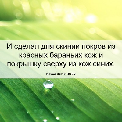 Picture 06 - Исход 36:19 RUSV - И сделал для скинии покров - Bible Verse Picture
