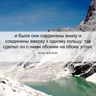 Picture 06 - Исход 36:29 RUSV - и были они соединены внизу - Bible Verse Picture