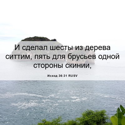 Picture 06 - Исход 36:31 RUSV - И сделал шесты из дерева - Bible Verse Picture