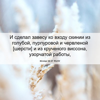 Picture 06 - Исход 36:37 RUSV - И сделал завесу ко входу - Bible Verse Picture