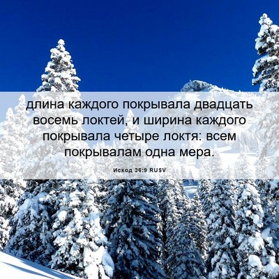 Picture 06 - Исход 36:9 RUSV - длина каждого покрывала - Bible Verse Picture