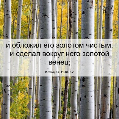 Picture 06 - Исход 37:11 RUSV - и обложил его золотом - Bible Verse Picture