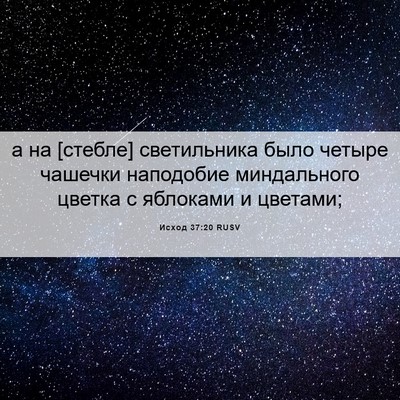Picture 06 - Исход 37:20 RUSV - а на [стебле] светильника - Bible Verse Picture