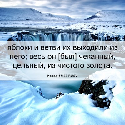 Picture 06 - Исход 37:22 RUSV - яблоки и ветви их выходили - Bible Verse Picture