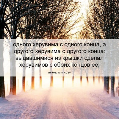 Picture 06 - Исход 37:8 RUSV - одного херувима с одного - Bible Verse Picture