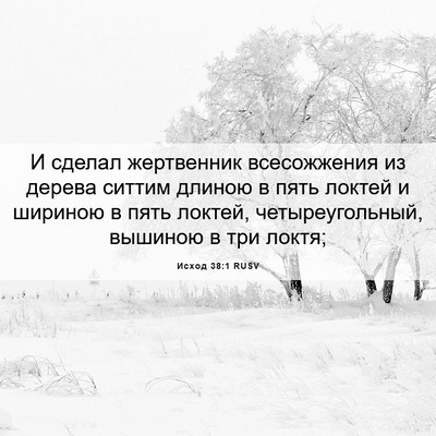 Picture 06 - Исход 38:1 RUSV - И сделал жертвенник - Bible Verse Picture