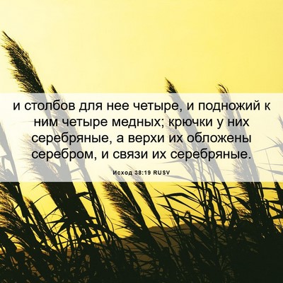 Picture 06 - Исход 38:19 RUSV - и столбов для нее четыре, и - Bible Verse Picture