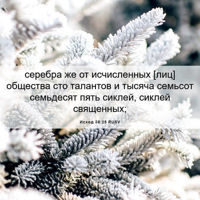 Picture 06 - Исход 38:25 RUSV - серебра же от исчисленных - Bible Verse Picture