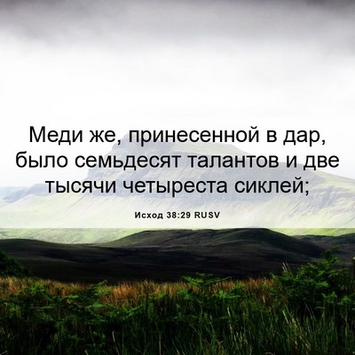 Picture 06 - Исход 38:29 RUSV - Меди же, принесенной в дар, - Bible Verse Picture