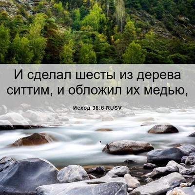 Picture 06 - Исход 38:6 RUSV - И сделал шесты из дерева - Bible Verse Picture