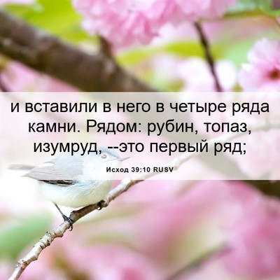 Picture 06 - Исход 39:10 RUSV - и вставили в него в четыре - Bible Verse Picture