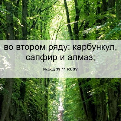 Picture 06 - Исход 39:11 RUSV - во втором ряду: карбункул, - Bible Verse Picture