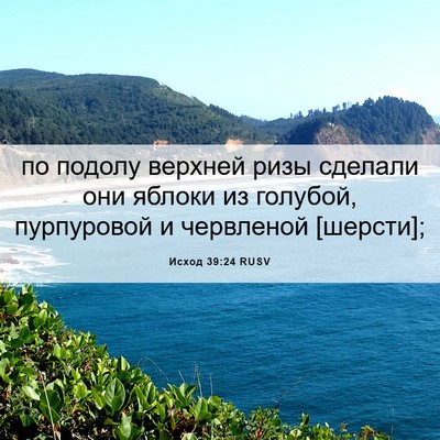 Picture 06 - Исход 39:24 RUSV - по подолу верхней ризы - Bible Verse Picture