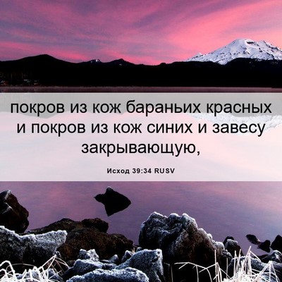 Picture 06 - Исход 39:34 RUSV - покров из кож бараньих - Bible Verse Picture