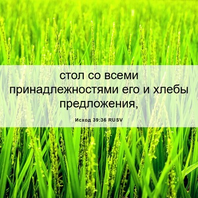 Picture 06 - Исход 39:36 RUSV - стол со всеми - Bible Verse Picture