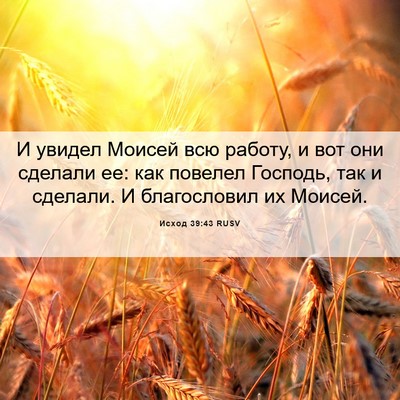 Picture 06 - Исход 39:43 RUSV - И увидел Моисей всю работу, - Bible Verse Picture