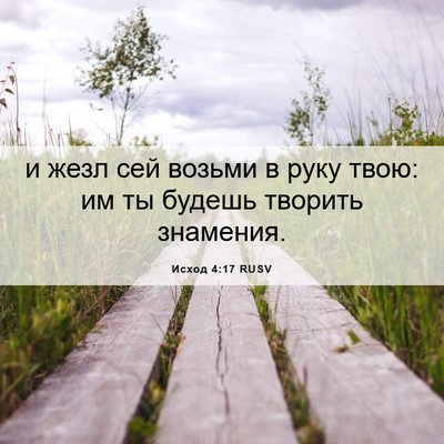 Picture 06 - Исход 4:17 RUSV - и жезл сей возьми в руку - Bible Verse Picture