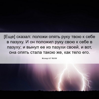Picture 06 - Исход 4:7 RUSV - [Еще] сказал: положи опять - Bible Verse Picture