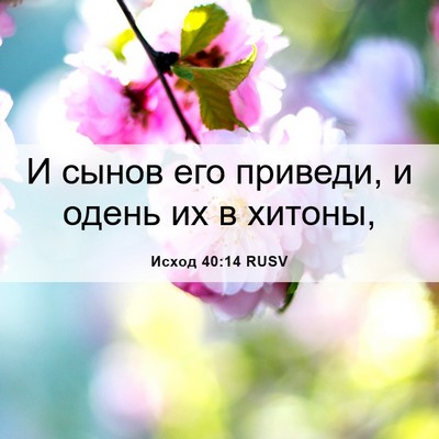 Picture 06 - Исход 40:14 RUSV - И сынов его приведи, и - Bible Verse Picture
