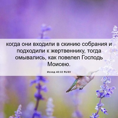 Picture 06 - Исход 40:32 RUSV - когда они входили в скинию - Bible Verse Picture